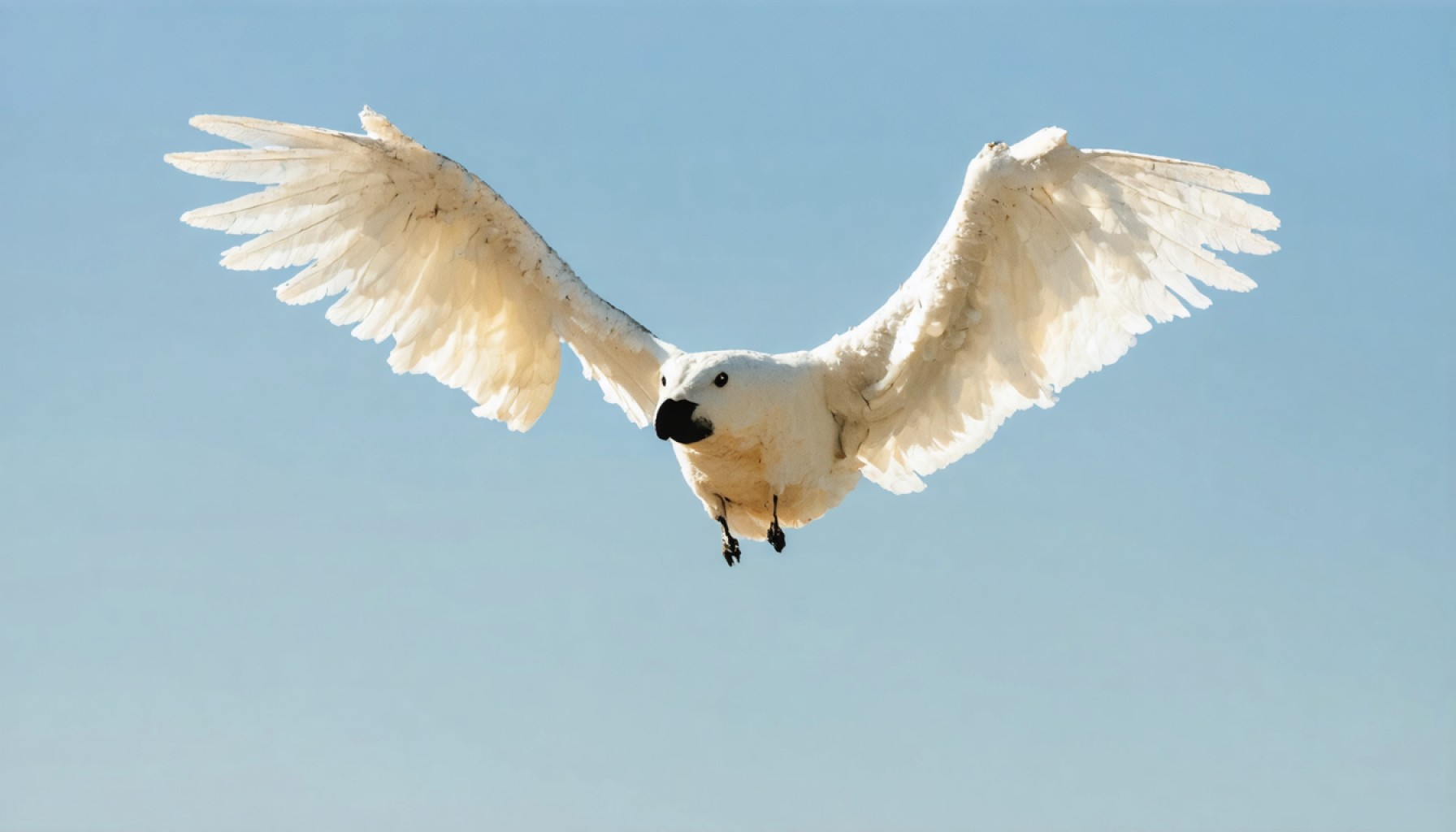 “AirBorne” Vulnerabilities Unmasked: How Your Apple Devices Could Be at Risk